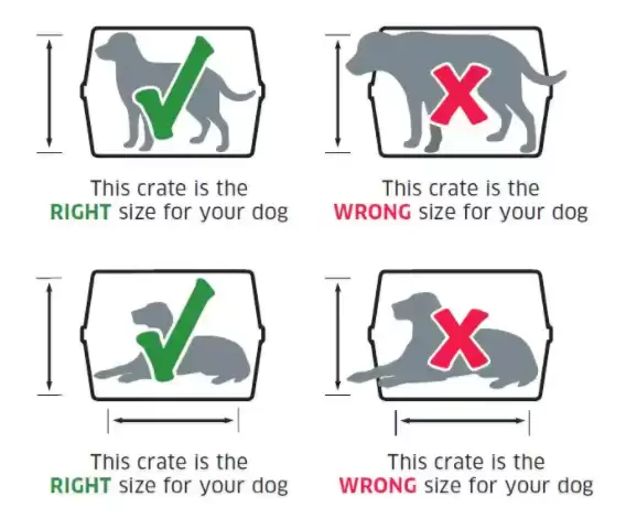 Moving With A Dog Will Drive You Crazy, Do This To Keep You Both Sane & Stress-Free!