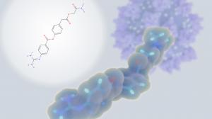 Protease Market