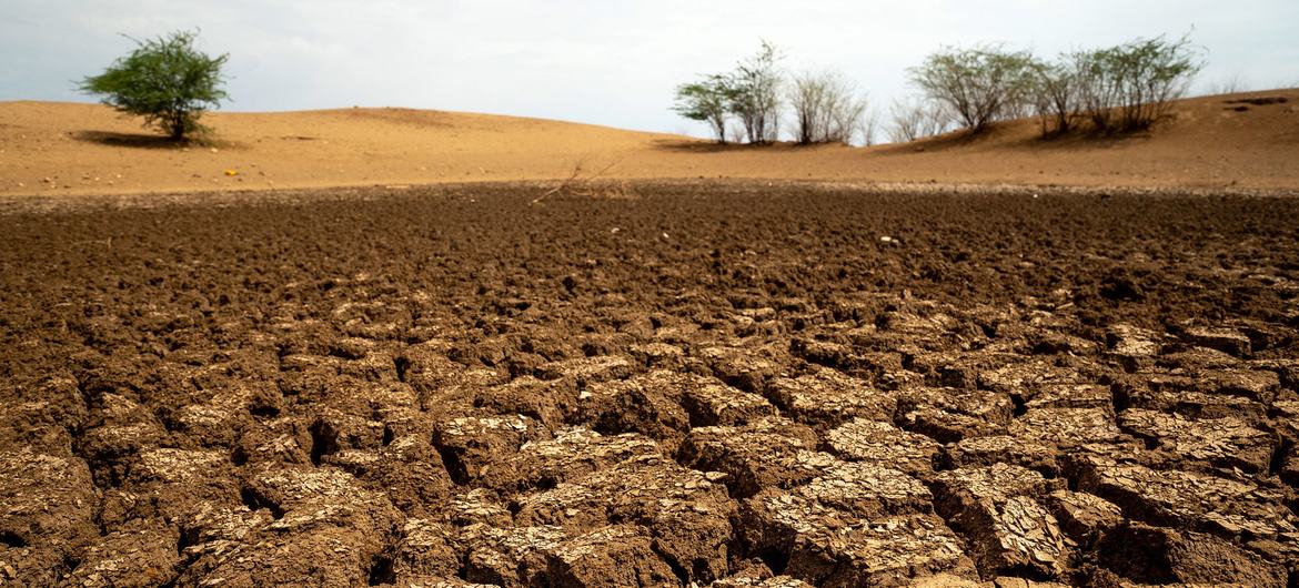 Turkana County in the north of Kenya regularly faces drought conditions.