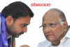 Sharad Pawar Extends Support to Vishwajit Kadam, Hails Patangrao Kadam's Legacy